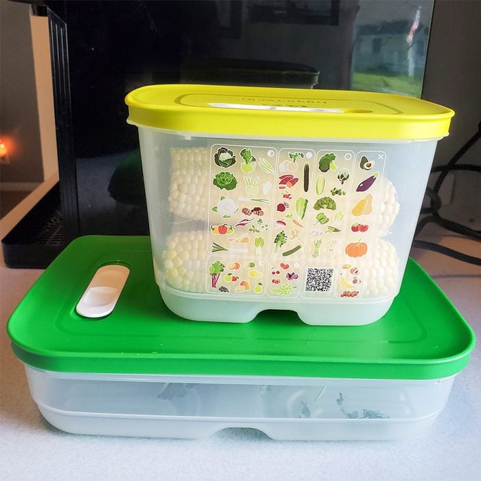 Top Fridge Containers